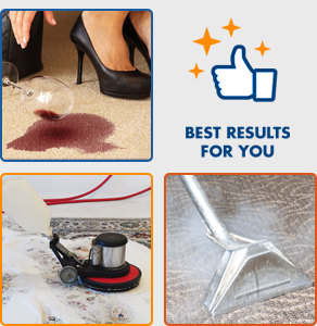 carpet and rug cleaners